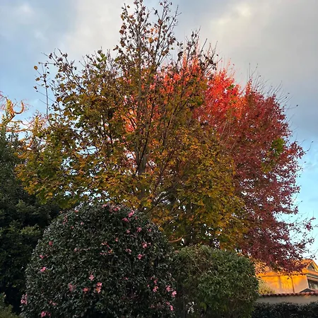 Milele Bed & Breakfast Somma Lombardo